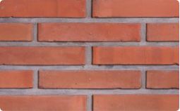  wire cut exposed brick